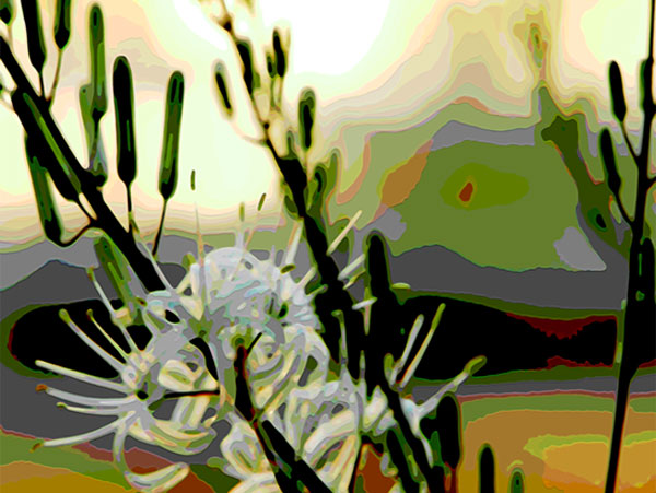 marble_71