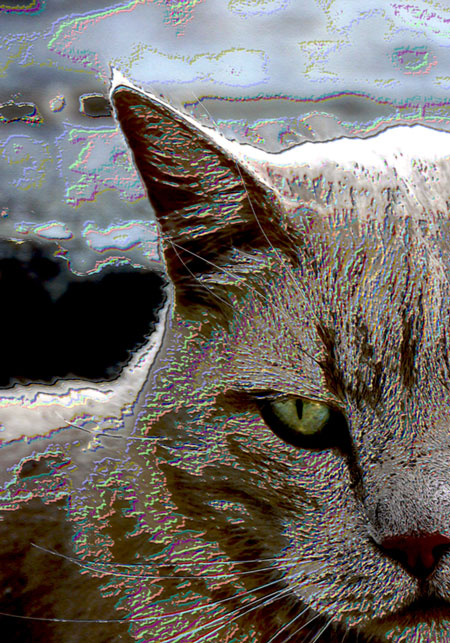 sparky_2009