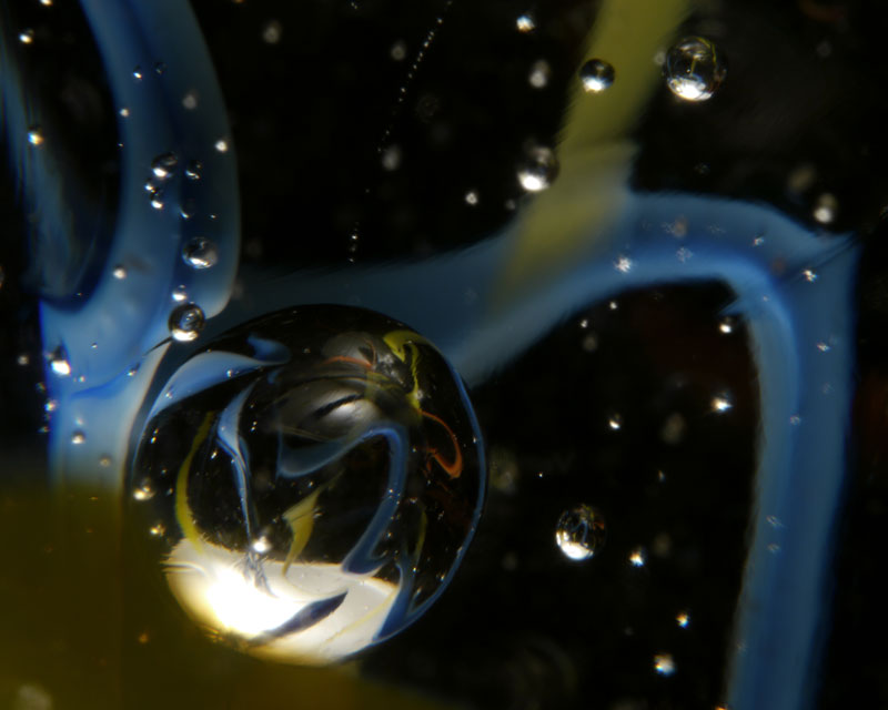 marble 81