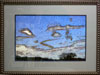 orb framed