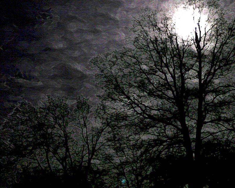 moon lungtree